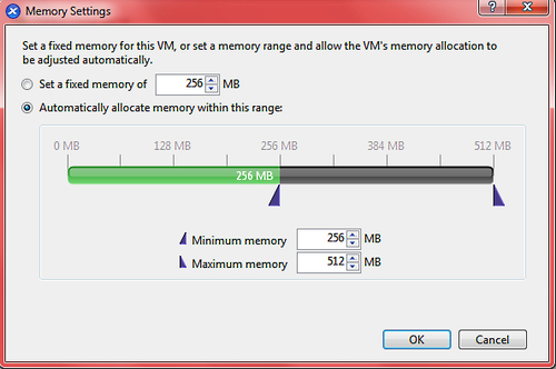 Managing virtual machine memory