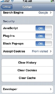Safari's settings, accessed from Settings > Safari.