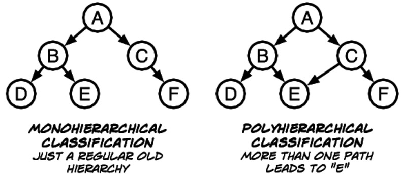 images/polyhierarchical_classification.jpg