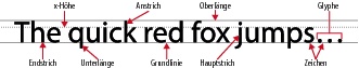 Typoygrafische Begriffe für Buchstabenformen