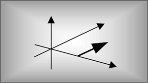 The Discrete Hilbert Transform