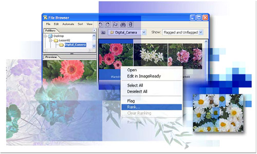 Using the File Browser