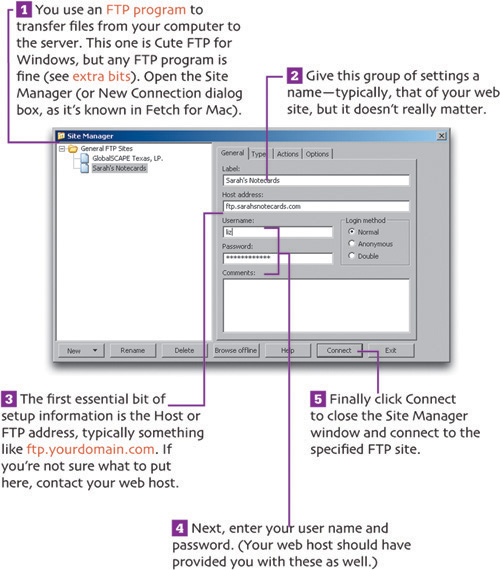 Set Up the FTP Program