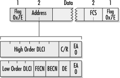 The basic frame relay frame