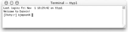 The Terminal window
