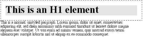 Setting a margin for h1 elements