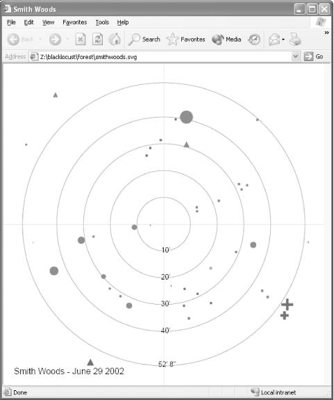 Editing XML Documents in Excel - Office 2003 XML [Book]