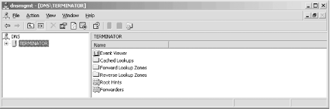 The DNS console with a new server