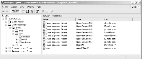 NS and A records for acmebw.com in the cache