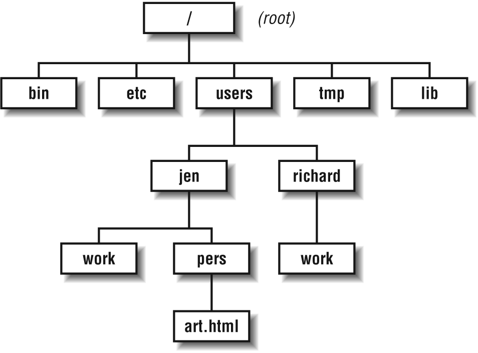 Example of a directory hierarchy
