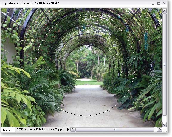The Marquee tools usually make oval or rectangular selections. To make a perfectly circular or square selection, hold down the Shift key while you drag. (If you're in the Elliptical marquee, it's a perfect circle; in the Rectangular marquee, it's a perfect square.) To draw your selection from the center, hold down Alt. It's easier to do it that way when you know the central point you want to include but aren't sure how much of the surrounding area you want.