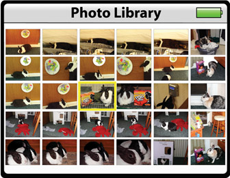 Picturing Your Photos on the iPod