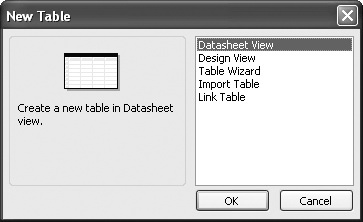 Creating Your First Simple Table by Entering Data - Microsoft® Office ...