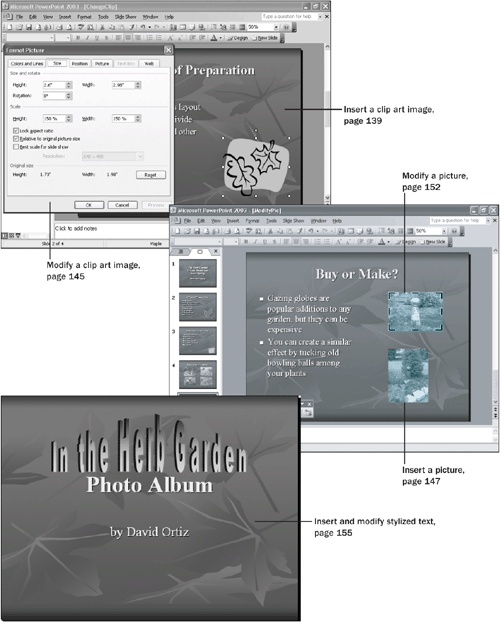 8. Adding Graphics - Microsoft® Office PowerPoint® 2003 Step by Step [Book]
