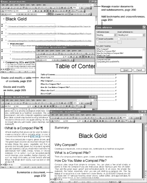 Making Information in Longer Documents Accessible
