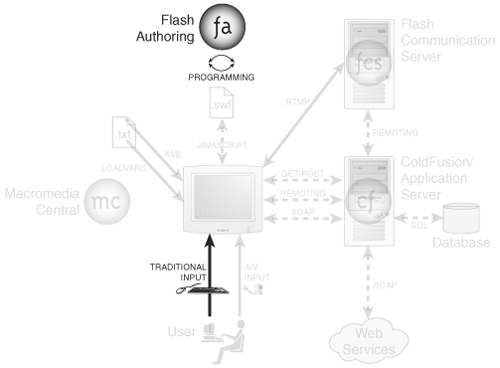 Working with Complex Data