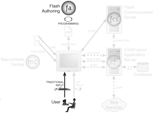 Using Components