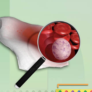 How DNA Matching Works