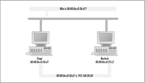 An overview of Reverse ARP