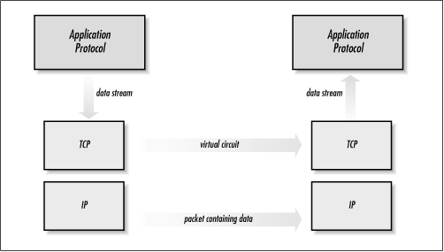IP addresses consist of a network address and a node address