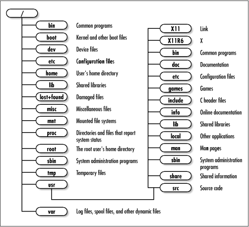The Debian GNU/Linux directory tree