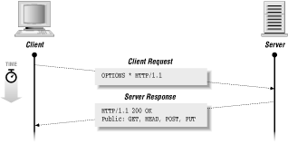 An OPTIONS request