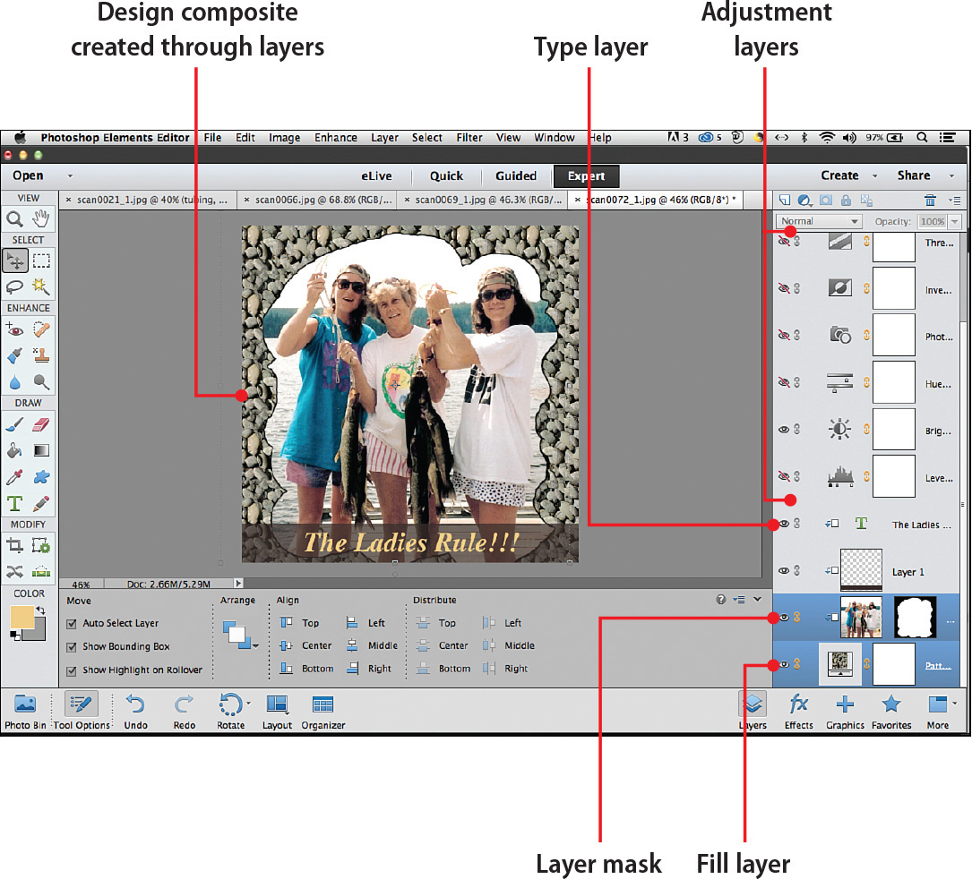 7. Working with Layers - My Photoshop® Elements 13 [Book]