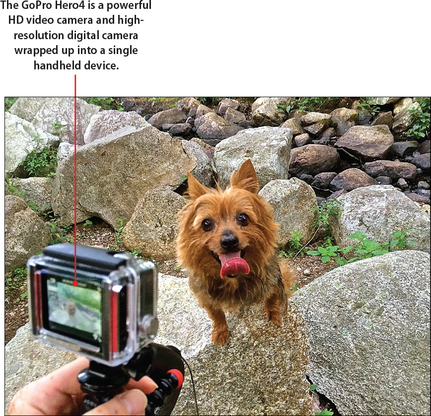 1. Overview of the GoPro Cameras - My GoPro® Hero Camera [Book]