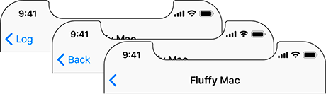 Different back bar button item titles