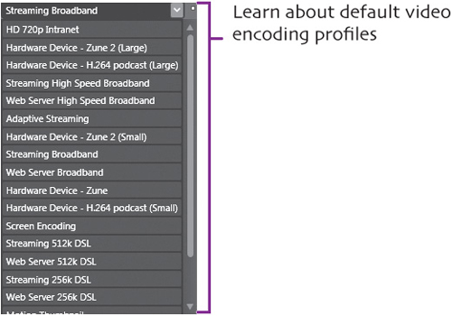 5. Encode Video - Creating a Web Video in Silverlight: Visual ...