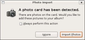 Figure 21-1: The Photo Import dialog.