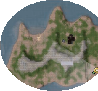 Navigating the Second Life Interface and World