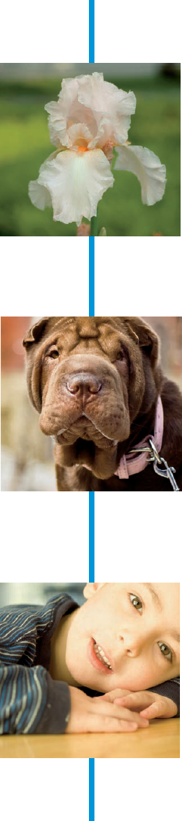 Working in Your Digital Darkroom