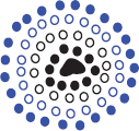 A C++ Primer
