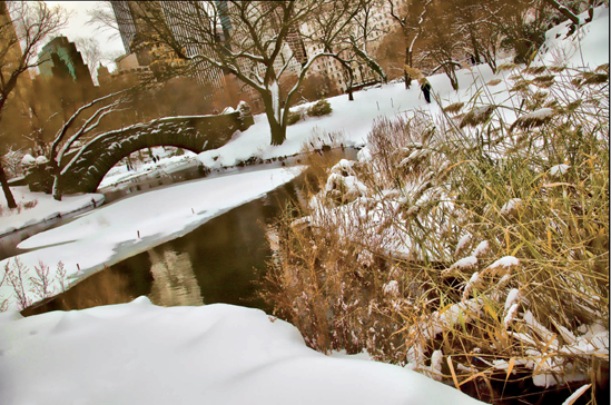 Central Park