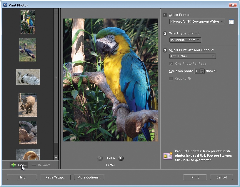 Your control center for printing from the Organizer. The strip on the left side of the window holds thumbnails of all the photos you plan to print. When you're creating a picture package or a contact sheet, you can add or remove images by clicking the + or − buttons at the bottom of the thumbnail strip.
