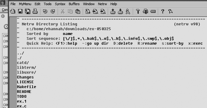 Vim “editing” the ex-050325 directory