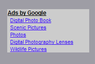 A link unit displays links to Google pages that display ads