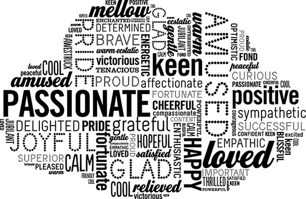 Image shows the emotion cloud that can be used as a guide to know how you will feel when the goal is achieved.