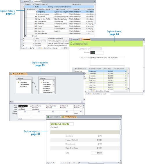1. Explore an Access 2010 Database - Microsoft® Access® 2010: Step by ...