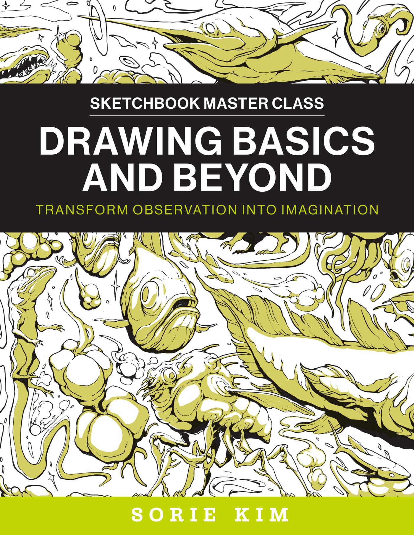 Cover - Drawing Basics and Beyond [Book]