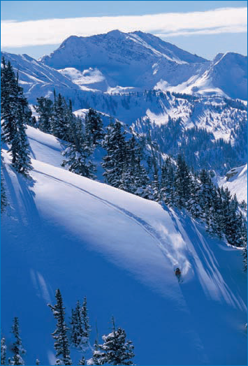 Shooting Sports on Location