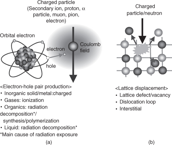 Chapter 3: Fundamentals of Radiation Effects - Terrestrial Radiation ...