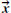 numbered Display Equation