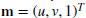 numbered Display Equation