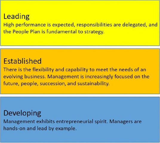 The figure shows three rectangular boxes representing the second EY Driver of Growth that is “People, behaviors, and culture.”
Box 1: Leading represents “High performance is expected, responsibilities are delegated, and the People Plan is fundamental to strategy.”
Box 2: Established represents “There is the flexibility and capability to meet the needs of an evolving business. Management is increasingly focused on the future, people, succession, and sustainability.”
Box 3: Developing represents “Management exhibits entrepreneurial spirit. Managers are hand-on and lead by example.”
