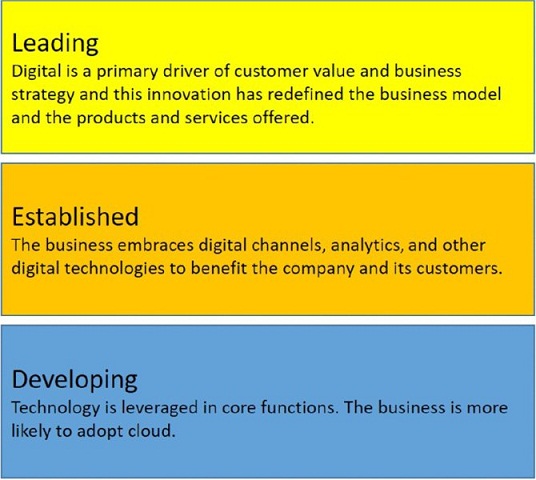The figure shows three rectangular boxes representing the third EY Driver of Growth that is “Digital technology and analytics.”
Box 1: Leading represents “Digital is a primary driver of customer value and business strategy and this innovation has redefined the business model and the products and services offered.”
Box 2: Established represents “The business embraces digital channels, analytics, and other digital technologies to benefit the company and its customer.”
Box 3: Developing represents “Technology is leverage in core functions. The business is more likely to adopt cloud.” 
