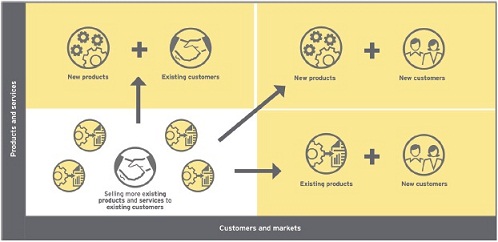 The figure shows a matrix depicting a combination of growth options. Where growth is achieved by:
(a) Selling more existing products and services to e existing customers.
(b) Selling new products and service to existing customers.
(c) Selling existing products and services to new customers.
(d) Selling new products and services to new customers.
