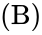 left parenthesis normal cap b right parenthesis