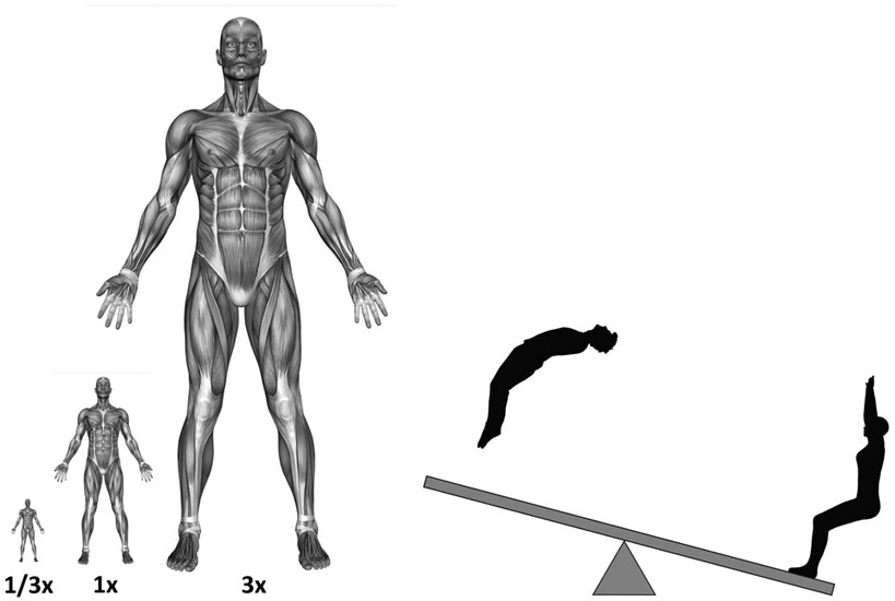 SECTION 2 CHARACTER DESIGN AND ANIMATION - Physics for Animators [Book]